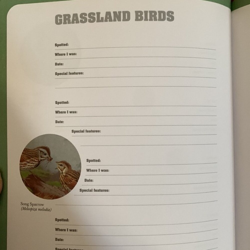 Birdwatching Notes ๐ Book - Picture 5 of 7